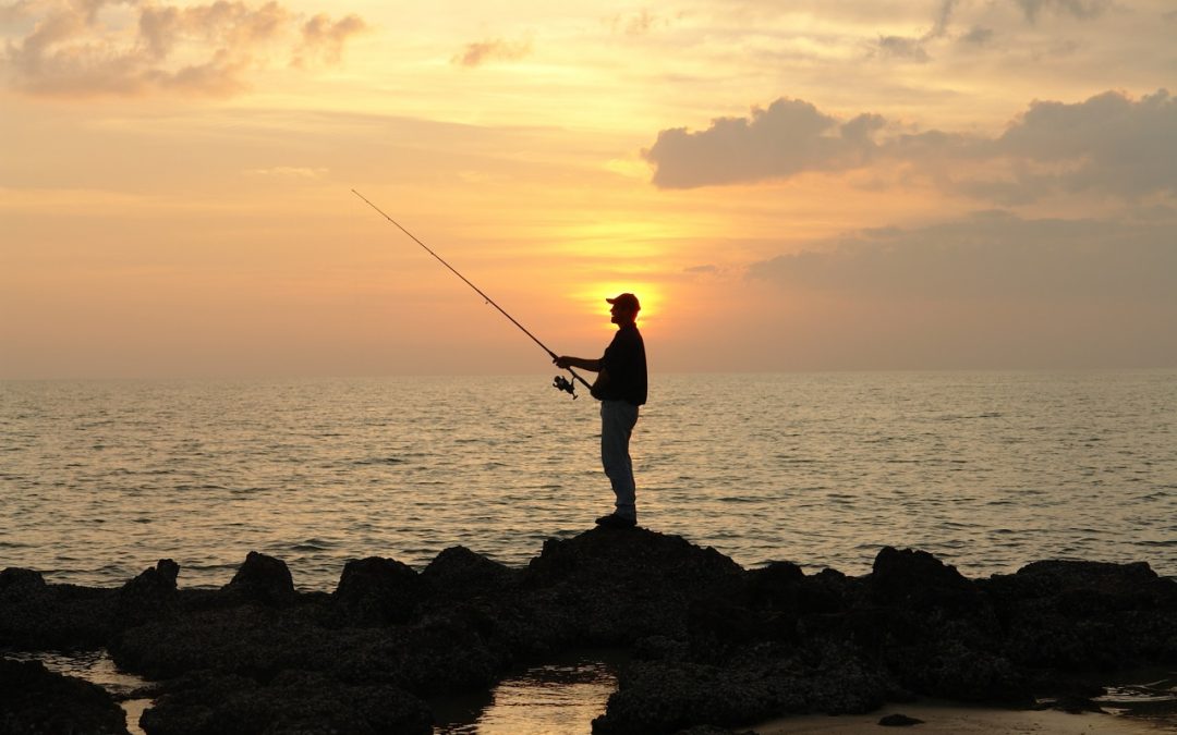 Vote for your favourite photo