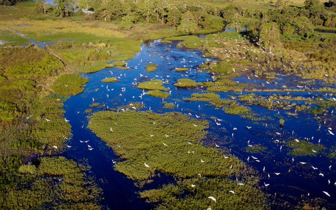 Aurukun Shire Council investigates tourism options