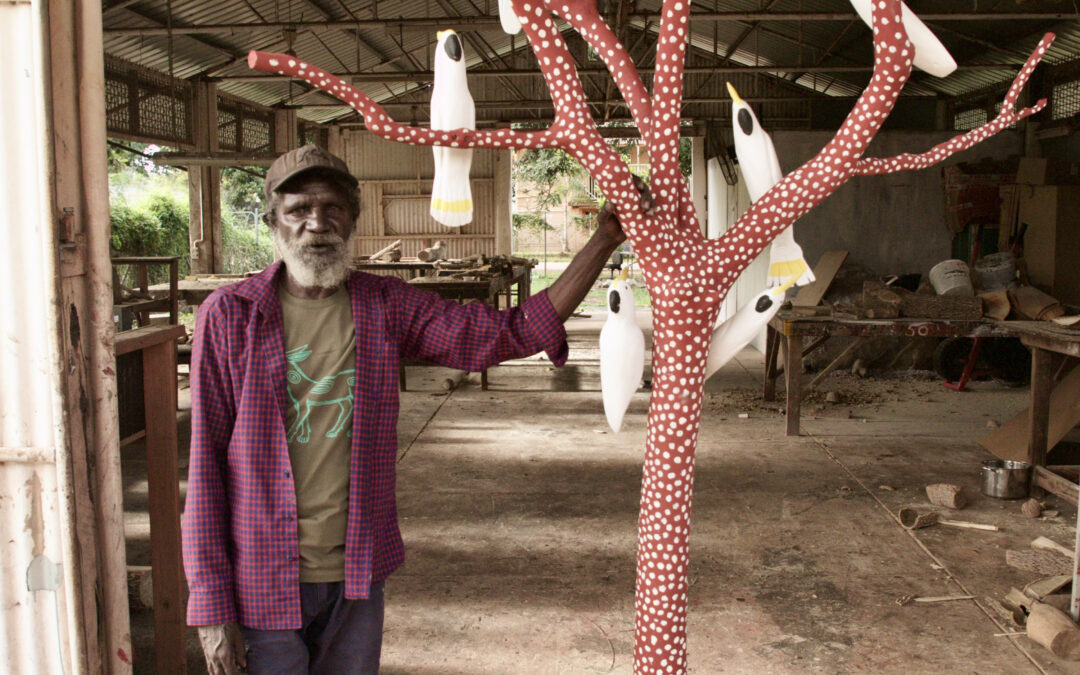 National award for Aurukun artist