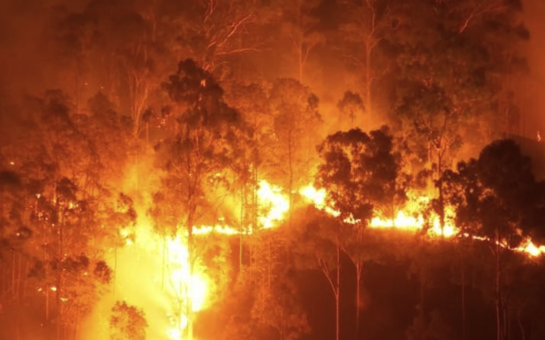 Prepare for bushfire season