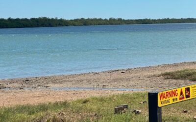 Crocodile sighted at landing