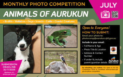 July Photo Competition